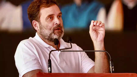 People are jobless as there has been no caste census: Rahul in poll-bound MP