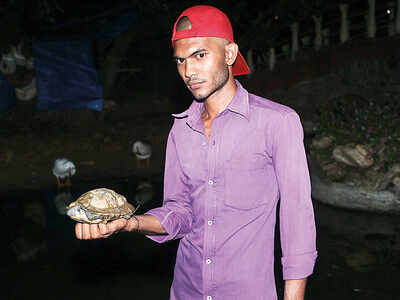 2 ‘missing’ turtles turn up at Joggers’ Park pond