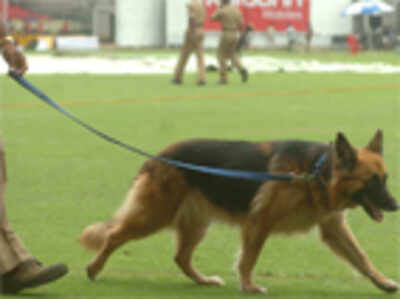 Sniffer dogs wanted for city police force