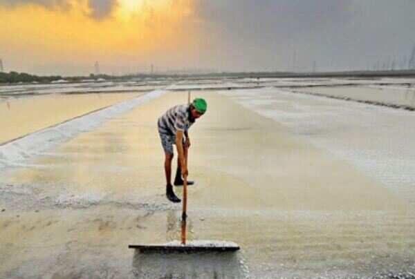 Migrant workers in salt pans brace for uncertain season