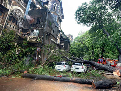 Mumbai saw a death every second day this monsoon