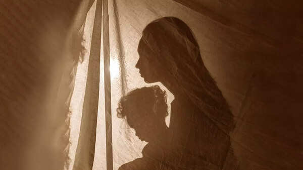 Why a court granted custody of Indian child to German state