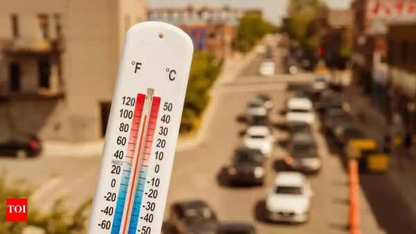 Delhi braces for heatwave as mercury may touch 44°Celsius