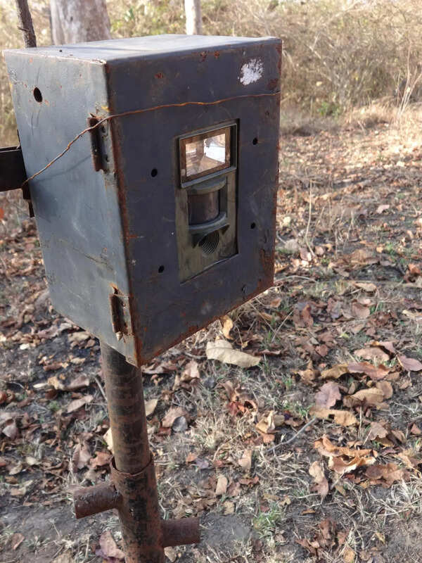 Two camera traps installed for tiger census stolen in Naravi Reserve Forest, Karnataka