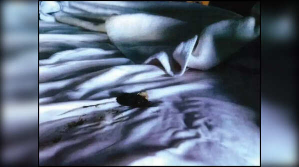 Kate Moss’ entry
