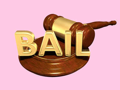 POCSO judge grants bail to 2 ‘falsely implicated’ Chembur women