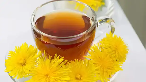 Dandelion Root Tea (Taraxacum officinale)