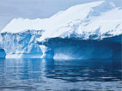 Fish, marine animals discovered living beneath the Antarctic ice shelf