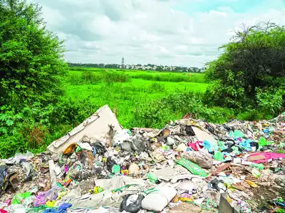 Litter by litter, lake is lost