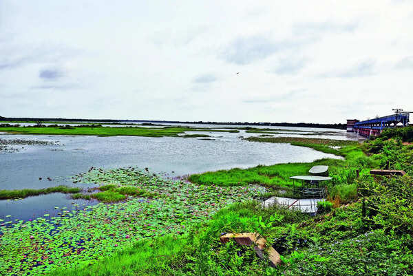 Telangana prepares to notify 28 wetlands