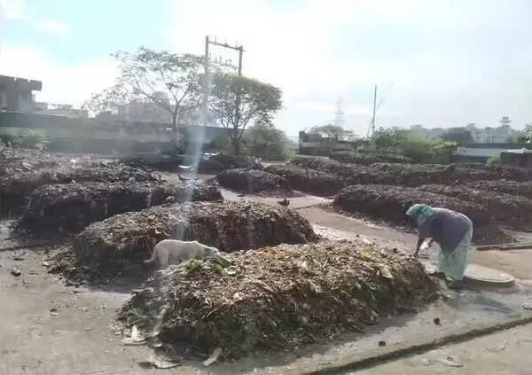 GCC plans windrow composting plant at Perungudi, two facilities at Manali