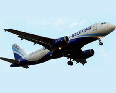 Police case against fliers who filmed woman: Indigo