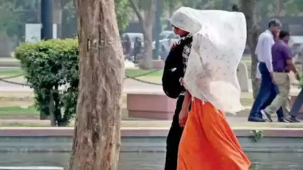 At 47.6 degrees Celsius, Prayagraj hottest city in country