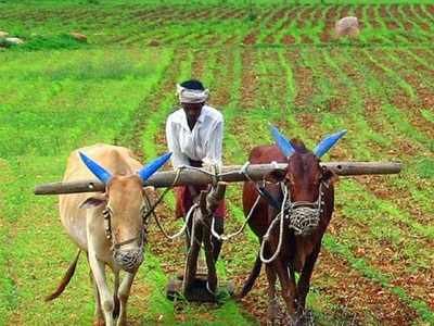 Farmers will have to fill only one form on government portal: Min
