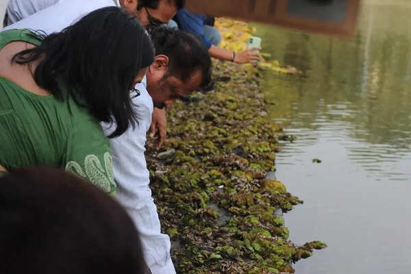 Panvel civic body ties up with Indian Council of Agricultural Research to get rid of Salvinia molesta growth in Vadale lake