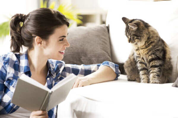 Smart ways to train your cat