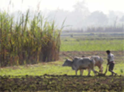 India’s fields can go pest-free, naturally