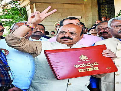 Karnataka Budget 2023-24: A good year ahead?