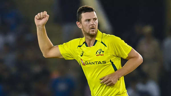 It's a bit better for the bowlers: Hazlewood on Australian conditions for T20 World Cup