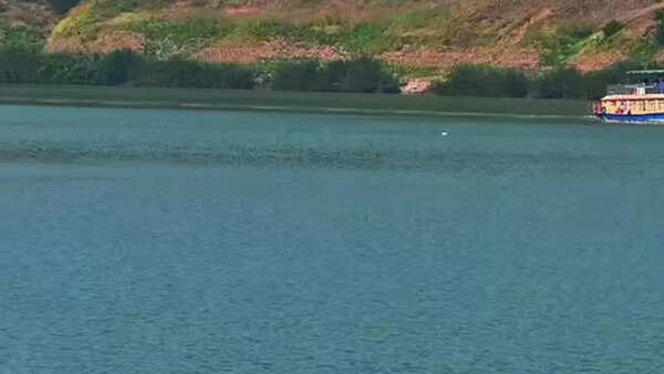5 engineering students from Andhra Pradesh drown in Godavari river while clicking photo