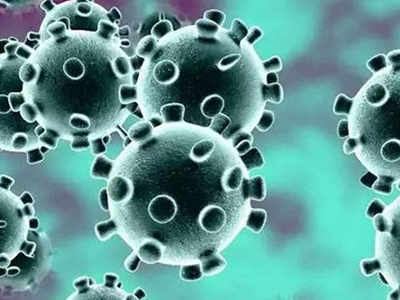 Coronavirus: 0 positive cases in Karnataka