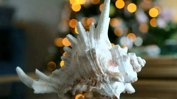 What is Conch Shell? Vastu benefits and the right way to place Shankh