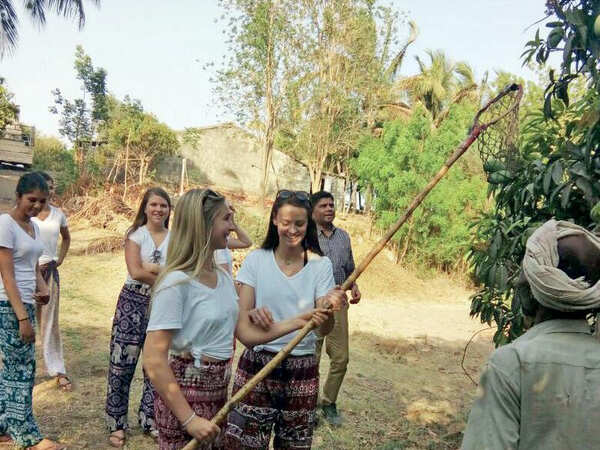 Crazy about Kesar, Pittsburgh university students camp in Savarkundla farm