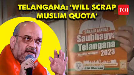 'It is in sync with Constitution...,' Annamalai on BJP's Telangana poll promise of doing away with Muslim quota