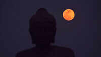 Watch: Strawberry moon lights up night sky in Visakhapatnam 