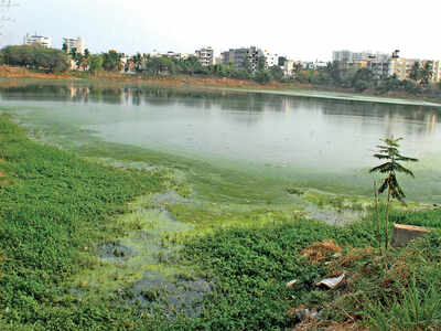 Residents manually clean blocked drain