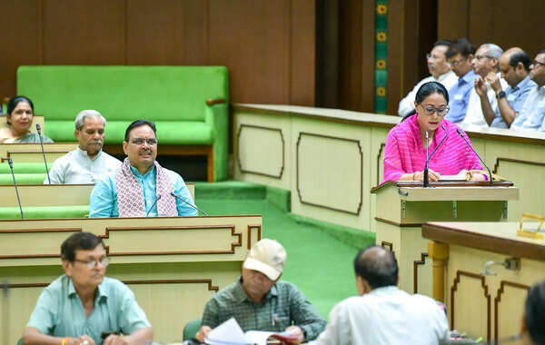 TOI interview: One budget, opportunities for all, says Rajasthan finance minister Diya Kumari