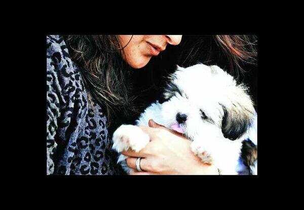 Be a pet, take care of animals on Diwali