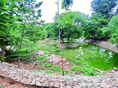 Grey water to make Bengaluru greener