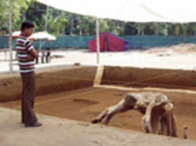 No more excavations at Pattanam: ASI