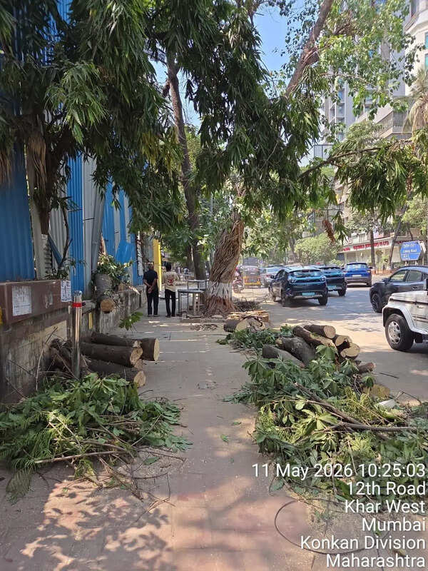Day after turning 15, one Khar tree fall victim ‘brain dead’; friend to undergo surgery on Friday