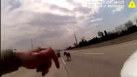 Officer corrals donkey on Chicago-area interstate 
