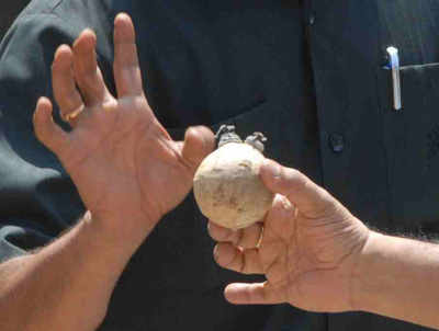 292 crude bombs seized in Thane; one held