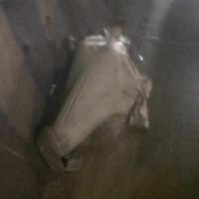 Man's body dumped outside CST