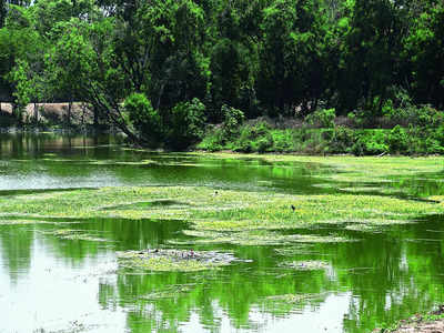 Treated water stirring trouble at Doddakallasandra Lake