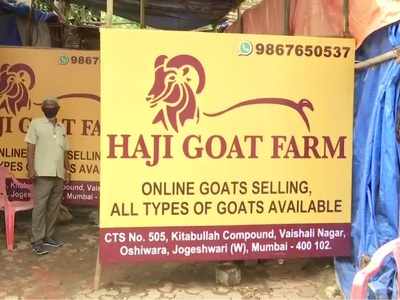 Bakra Eid: Goats being sold online for Eid ul-Adha to avoid crowding in Mumbai amid COVID-19