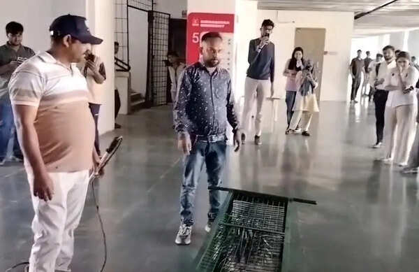 Porcupine caged on 5th floor of building