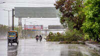 From uprooted trees to damaged rooftops, Cyclone Nisarga lashed Mumbai on Wednesday 