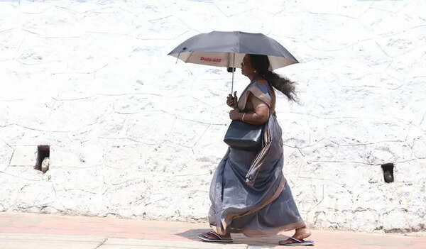 IMD issues yellow alert for heat in Kerala