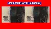 Dreaded criminal escapes from Alwar's Behror police station, cops punished 