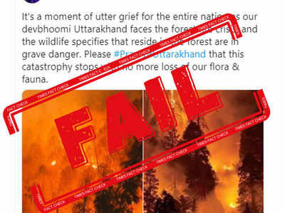 Fake alert: Photo from California shared in the name of fire in Uttarakhand forests