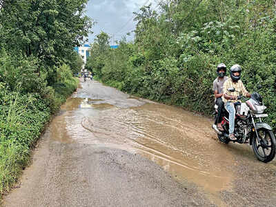 Citizens have a say in 60-lakh civic budget