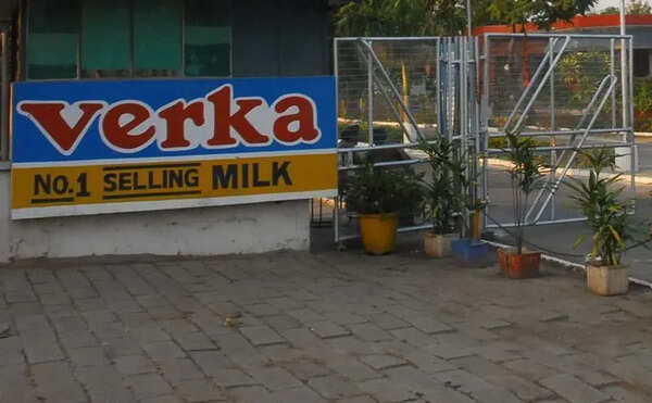 Milkfed hikes Verka milk procurement price by Rs 20/kg fat