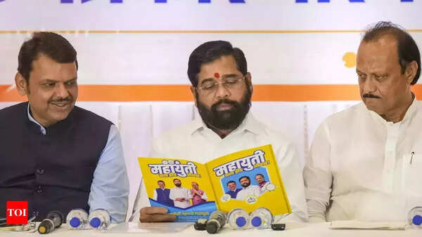 Maharashtra polls: Litmus test for Mahayuti parties in agrarian & tribal northern belt