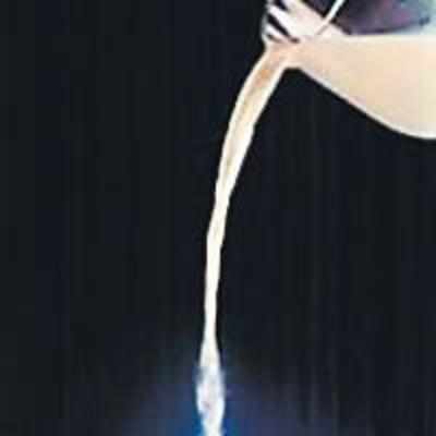 CCEA bans export of milk powder