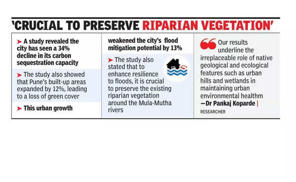 Pune sees 34% decline in carbon sequestration as urban sprawl reduces green cover